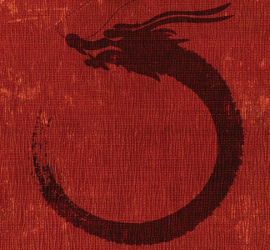 Black Dragon Tea